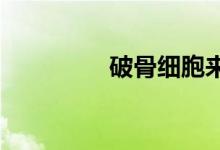 破骨細胞來源于什么細胞