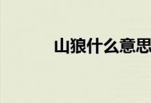 山狼什么意思（山狼什么意思）