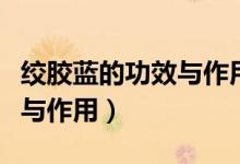 絞膠藍(lán)的功效與作用百度百科（絞膠藍(lán)的功效與作用）
