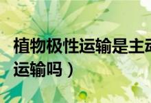 植物極性運(yùn)輸是主動(dòng)運(yùn)輸嗎（極性運(yùn)輸是主動(dòng)運(yùn)輸嗎）