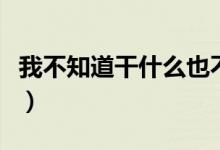 我不知道干什么也不重要歌詞(傻子歌詞簡介)