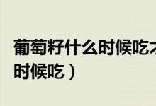 葡萄籽什么時(shí)候吃才是最佳時(shí)間（葡萄籽什么時(shí)候吃）