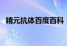 精元抗體百度百科（精元抗體多說(shuō)明什么）