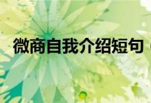 微商自我介紹短句（微商自我介紹怎么寫）