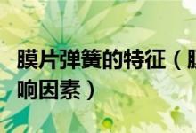 膜片彈簧的特征(膜片彈簧的彈性特性及其影響因素)
