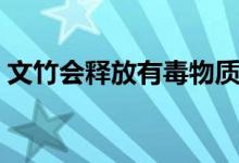 文竹會釋放有毒物質嗎（文竹的刺可有毒嗎）