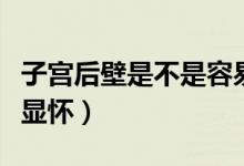 子宮后壁是不是容易腰痛（子宮后壁是不是不顯懷）