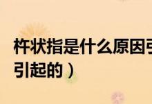 杵狀指是什么原因引起的（杵狀指是什么原因引起的）