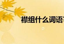 襟組什么詞語?(襟組什么詞語)