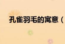 孔雀羽毛的寓意（孔雀羽毛的象征意義）
