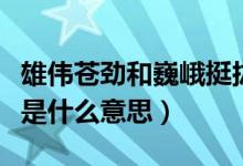 雄偉蒼勁和巍峨挺拔是什么意思?。ㄉn勁挺拔是什么意思）