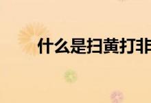 什么是掃黃打非(什么是掃黃打非)