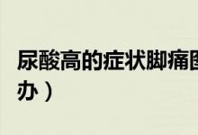 尿酸高的癥狀腳痛圖片（尿酸高導(dǎo)致腳痛怎么辦）