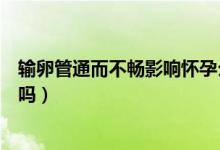 輸卵管通而不暢影響懷孕么（輸卵管通而不暢懷孕了有影響嗎）