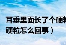 耳垂里面長了個硬粒怎么辦（耳垂里面長了個硬粒怎么回事）