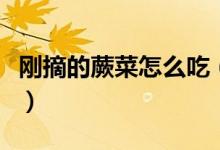 剛摘的蕨菜怎么吃（采摘回來的蕨菜怎么處理）