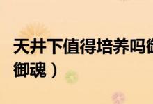 天井下值得培養(yǎng)嗎御魂（陰陽(yáng)師天井下帶什么御魂）