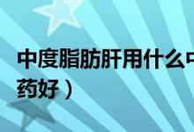 中度脂肪肝用什么中成藥（中度脂肪肝用什么藥好）