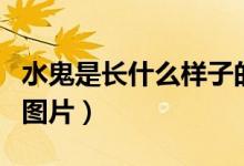 水鬼是長什么樣子的圖片(水鬼是什么樣子的圖片)