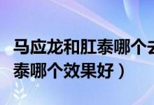 馬應(yīng)龍和肛泰哪個(gè)去肉球效果好（馬應(yīng)龍和肛泰哪個(gè)效果好）