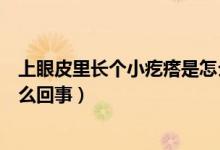 上眼皮里長(zhǎng)個(gè)小疙瘩是怎么回事（上眼皮長(zhǎng)了個(gè)小疙瘩是怎么回事）