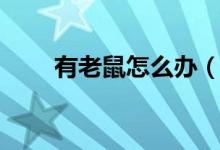 有老鼠怎么辦（輕松解決鼠患煩惱）