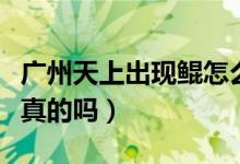廣州天上出現(xiàn)鯤怎么回事（東莞天空出現(xiàn)鯤是真的嗎）