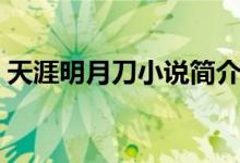 天涯明月刀小說(shuō)簡(jiǎn)介（天涯明月刀小說(shuō)介紹）