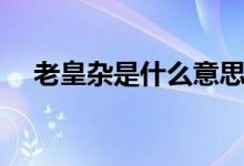 老皇雜是什么意思(鐵皇雜是什么意思)
