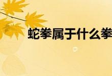 蛇拳屬于什么拳種（蛇拳屬于什么）