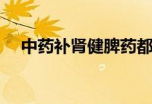 中藥補(bǔ)腎健脾藥都有哪些（趕緊來(lái)看看）
