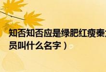 知否知否應是綠肥紅瘦秦大娘子演員（知否知否秦大娘子演員叫什么名字）