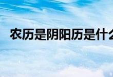 農(nóng)歷是陰陽(yáng)歷是什么意思（農(nóng)歷是陰歷嗎）