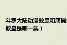 斗羅大陸動漫教皇和唐昊打是第幾集（斗羅大陸動漫唐昊打教皇是哪一集）