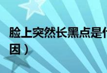 臉上突然長黑點(diǎn)是什么（臉上突然長黑點(diǎn)的原因）