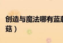 創(chuàng)造與魔法哪有藍(lán)蘑菇（創(chuàng)造與魔法哪有藍(lán)蘑菇）