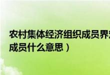 農(nóng)村集體經(jīng)濟(jì)組織成員界定是什么意思（農(nóng)村集體經(jīng)濟(jì)組織成員什么意思）