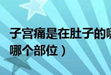 子宮痛是在肚子的哪個部位痛（子宮位于肚子哪個部位）