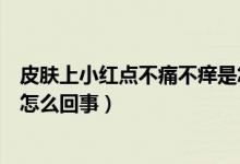 皮膚上小紅點(diǎn)不痛不癢是怎么回事（皮膚起小紅點(diǎn)不痛不癢怎么回事）