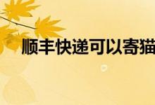 順豐快遞可以寄貓嗎（快遞可以寄貓嗎）