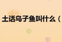 土話烏子魚叫什么（土語(yǔ)混子魚本名是什么）
