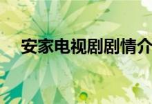 安家電視劇劇情介紹（電視劇安家簡(jiǎn)介）