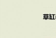 草缸養(yǎng)什么魚(yú)