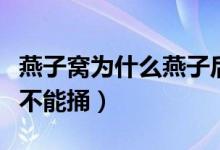燕子窩為什么燕子后來(lái)不住了（燕子窩為什么不能捅）