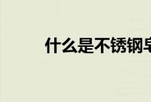 什么是不銹鋼皂？你如何使用它？