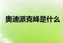 奧迪派克峰是什么（奧迪派克峰是什么車(chē)）