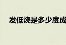 發(fā)低燒是多少度成人（發(fā)低燒是多少度）