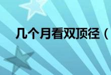 幾個月看雙頂徑（幾個月看雙頂徑最準(zhǔn)）