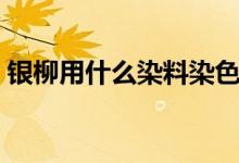 銀柳用什么染料染色(銀柳用什么染料染色)
