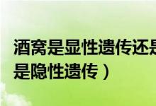 酒窩是顯性遺傳還是隱性（酒窩是顯性遺傳還是隱性遺傳）